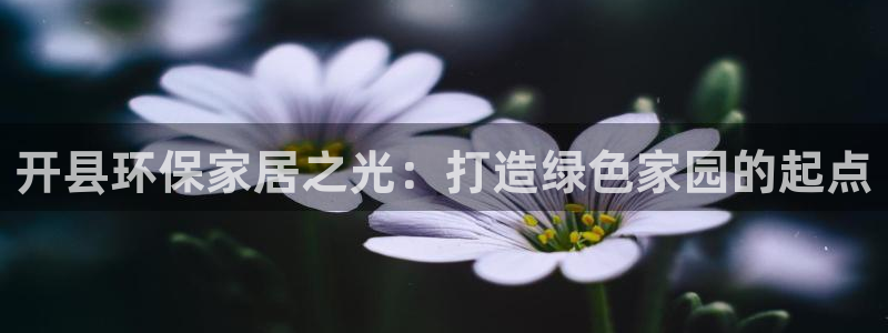 沐鸣2平台注册代理：开县环保家居之光：打造绿色家园的起点