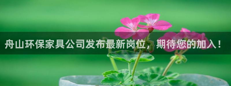 沐鸣2平台官方登陆：舟山环保家具公司发布最新岗位，期待您的加