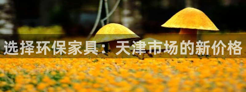 沐鸣2平台注册地址：选择环保家具：天津市场的新价格