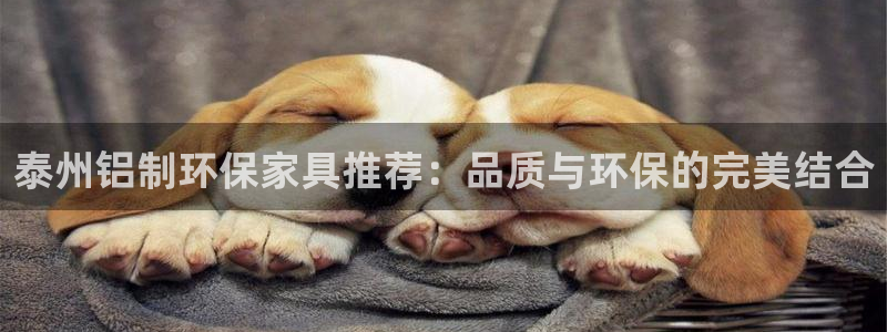 沐鸣2官网主管