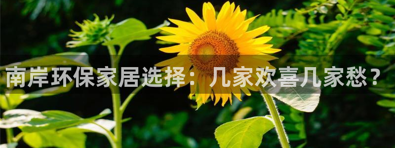 沐鸣2app怎样申请：南岸环保家居选择：几家欢喜几家愁？