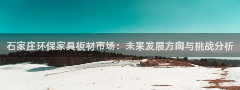 沐鸣2注册app：石家庄环保家具板材市场：未来发展方向与挑战