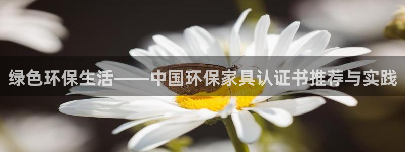 沐鸣2平台登录网址是什么：绿色环保生活——中国环保家具认证书