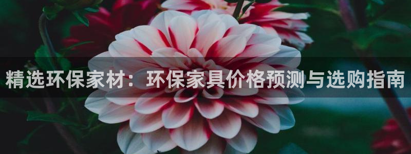 沐鸣2平台靠谱吗：精选环保家材：环保家具价格预测与选购指南