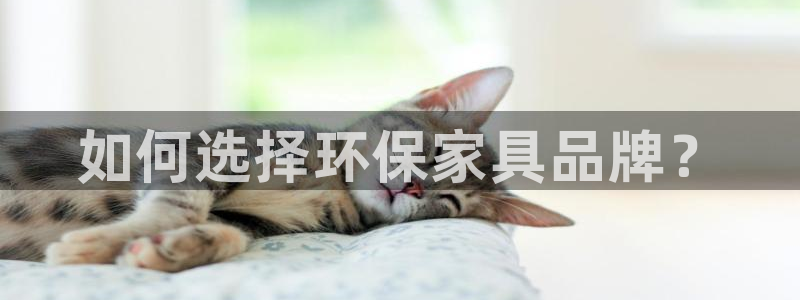 沐鸣2平台官网：如何选择环保家具品牌？