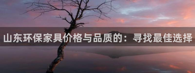 沐鸣2平台代理登录网址是什么：山东环保家具价格与品质的：寻找