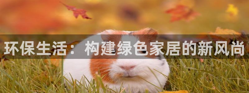 沐鸣2平台没有了